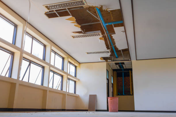Best Local water damage restoration  in Lake Park, NC