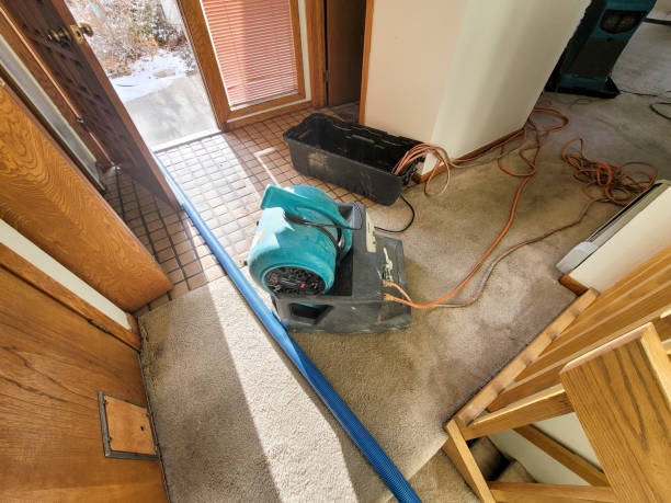 Best 24-hour water damage restoration  in Lake Park, NC