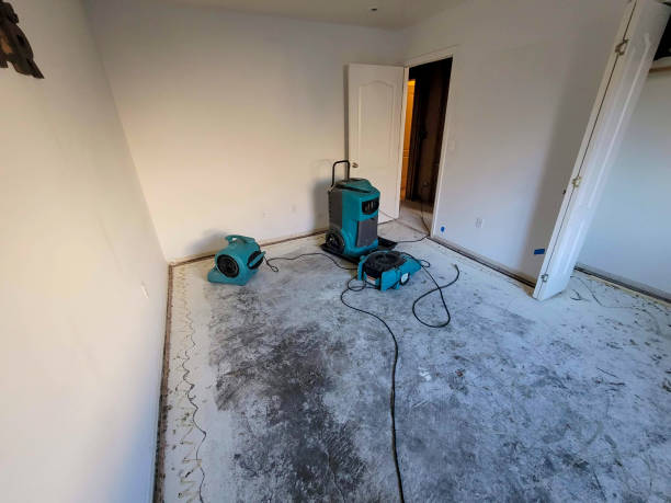 Best Flooded house restoration  in Lake Park, NC