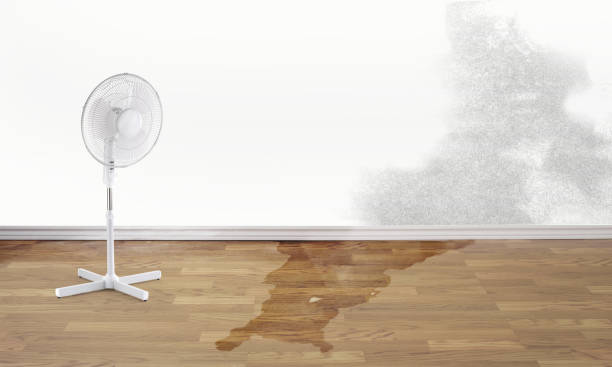 Best Residential water damage restoration  in Lake Park, NC