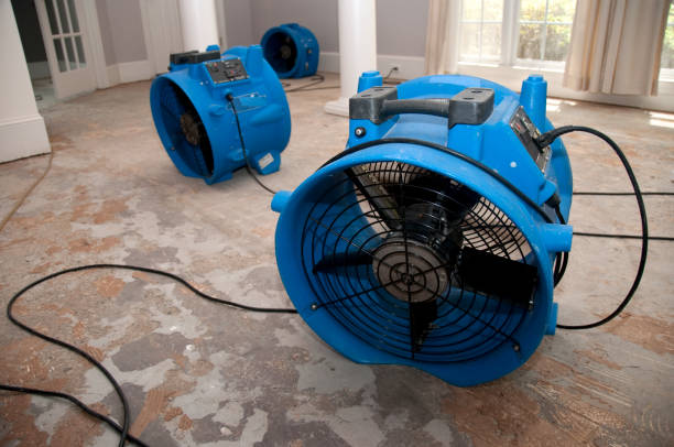 Best Flood damage cleanup  in Lake Park, NC
