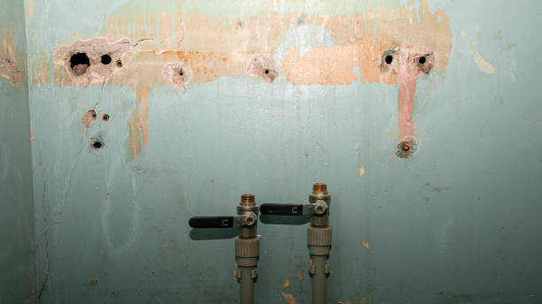 Best 24-hour water damage restoration  in Lake Park, NC